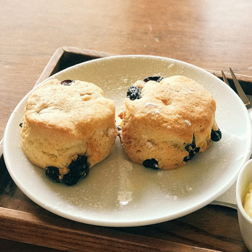 食べ物